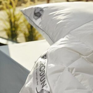 Eurodun - Moskusdun 3 kammer luksus Hovedpude - X-Large 60 x 63